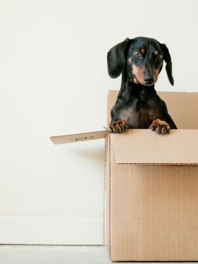Moving & Property Services
